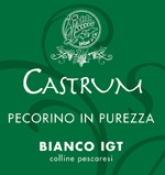 Vino Castrum